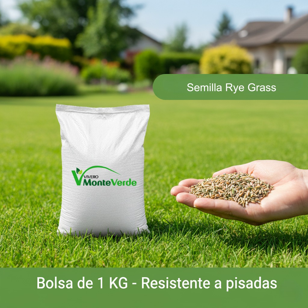 Semilla Rye Grass 1kg